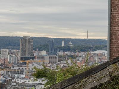 Blick von Lüttich Treppen - Montagne de Bueren