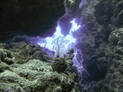 In der HÃ¶hle